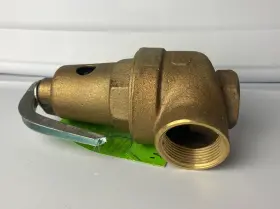 10-614-05 Apollo Valves Rvw61 3/4x1 Inch 30 Psi Hot Water Relief Valve #2