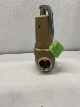 1061830 Apollo Valves 2 Inch Fnpt X 2-1/2 Water Relief Valve 130 Psi