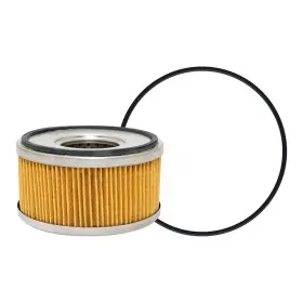 Baldwin Filters 791440035577 Dahl Fuel Element - 101
