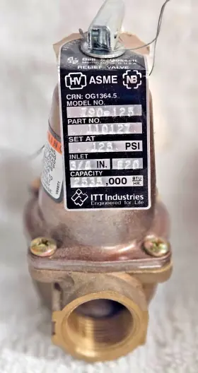 110127 Bell & Gossett And Relief Valve New