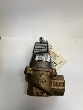 110132 Bell & Gossett And Relief Valve