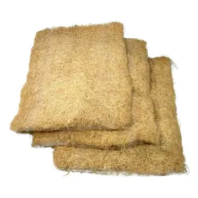 Champion Cooler 313094824873 Essick Compatible Evaporative Swamp Replacement Aspen Pad 3-set