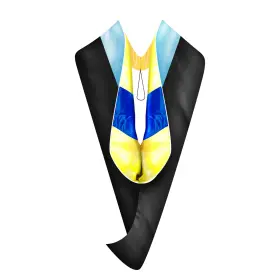 Gradwyse 656165331765 Education Master Hood Graduation Degree Various College Colors A