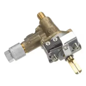 Gabr36-lp Hestan 007008 Valve Safety Rotiss For Model