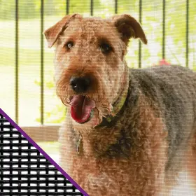 Fcs8994-m Saint-gobain Adfors 733353281733 Premium Pet Screen 48 Inch X 84 Charcoal #3