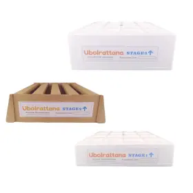Ubolrattana 747534521341 3 Bundle Replacement Filter Suitable For Iqair Healthpro Series V5 Activated