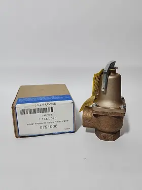 0274683 Watts 274683 Series 174a 3/4 Inch Bronze Fnpt 100# 250 Relief Valve