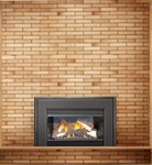 Napoleon Roxbury GI3600-4NSB Natural Vent Fireplace Insert Ng 24,000 Btus. Fixed Price $2499.99.