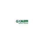 Caleffi 502620A Automatic Air Vent 1/4" Npt Male. Fixed Price $24.44.