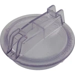 Trap Lid, Pentair Duraglas, 5". Fixed Price $85.54.