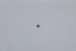 B1789865 Goodman .65 Flowrator 1/2TON R-22 Oem. Fixed Price $8.95.