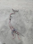 Heil NTC6100GFG1 Furnace Wiring Harness Connector Cables. Fixed Price $49.99.