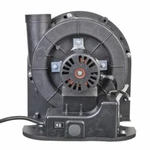 Rheem SP13416 Blower Assy 40 & 50 Gal. Power Vent Water Heater. Fixed Price $795.33.