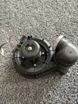 Used- Broad Ocean Y4L241B004L Carrier HB27CQ102 Furnace Inducer Motor HB27CQ103. Fixed Price $100.50.