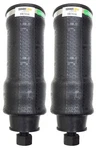 Pair Replaces Firestone W02-358-7036 Spring Cabin Sleeper Bag Peterbilt. Fixed Price $66.99.