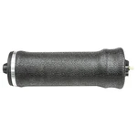 World American WA02-7207C Cab Sleeve Air Spring With Aluminum Base. Fixed Price $30.89.
