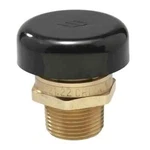 Watts LFN36-M1 3/4" Brass Vacuum Relief Valve 15 Psi Steam 250F Max. Fixed Price $38.71.