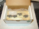 Veris Industries AA14A Bypass Valve Assembly (brand New) Open Box. Fixed Price $325.00.