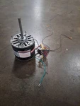 Century F48AD81A01 1/2HP 1075RPM/4SPD 208/230V Electric Motor (loc: A4T1). Fixed Price $69.95.